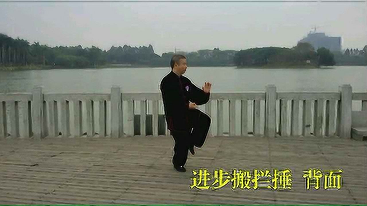 杨氏太极拳85式进步搬拦捶正背面动作示范