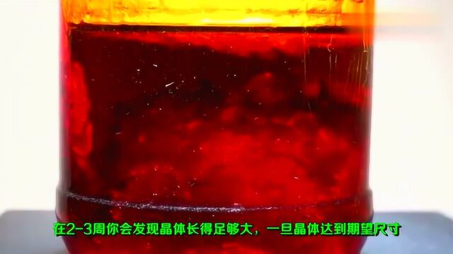 在家用各种盐DIY生长单晶体各种宝石!做出的成品和买来的没区别