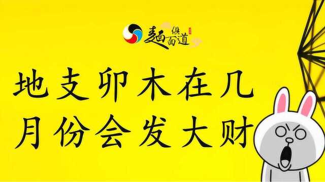 生肖属兔的人,地支卯木在几月份会发大财?