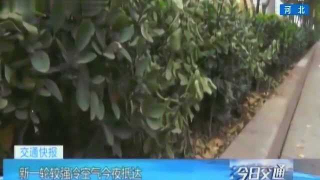 河北开始招募空乘和综合服务人员