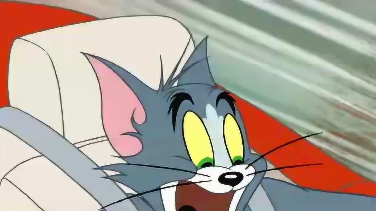 猫和老鼠汤姆驾驶着豪车哪都敢开