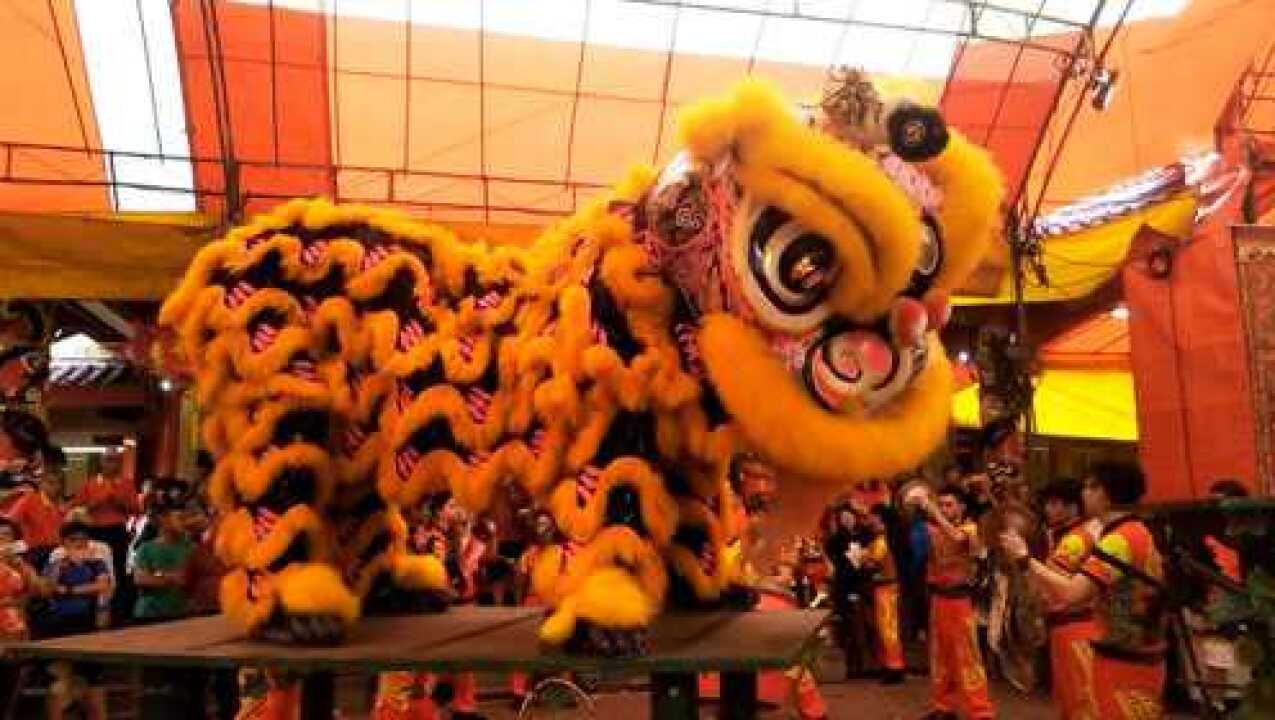 南狮表演视频,经典舞狮表演,舞狮艺术_高清1080P在线观看平台_腾讯视频