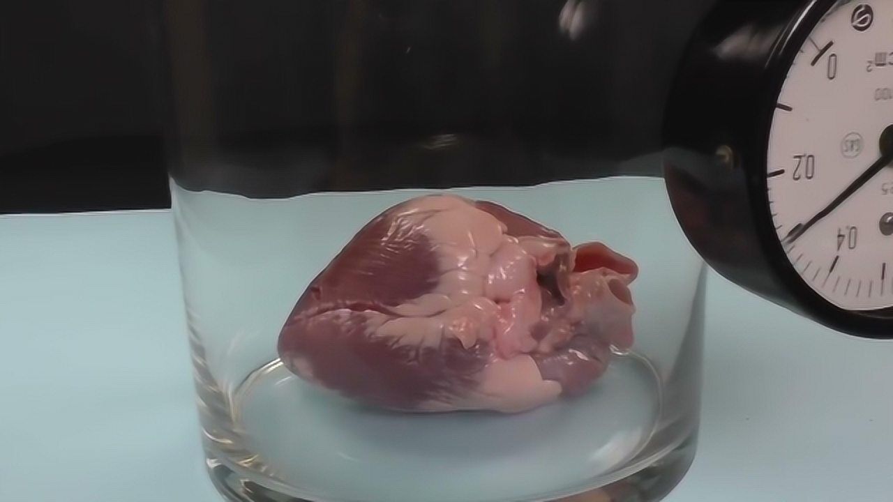 男子将一颗心脏扔进真空环境下实拍,看的我的心跳加速!