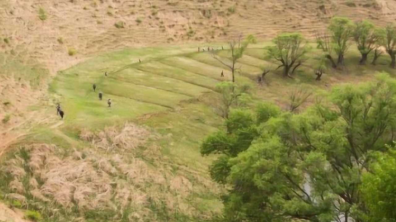 世界首个治沙成功的案例，国内这沙漠将消失，绿植覆盖超过一半！ 腾讯视频