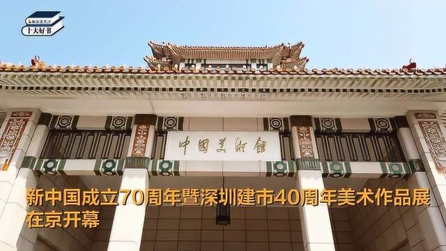 庆祝新中国成立70周年暨深圳建市40周年美术作品展在京开幕