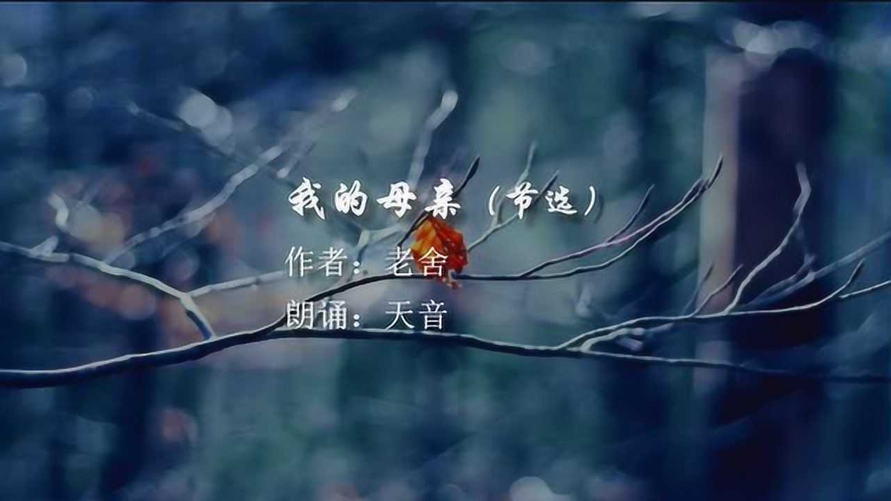 《我的母亲》作者:老舍朗诵:天音腾讯视频