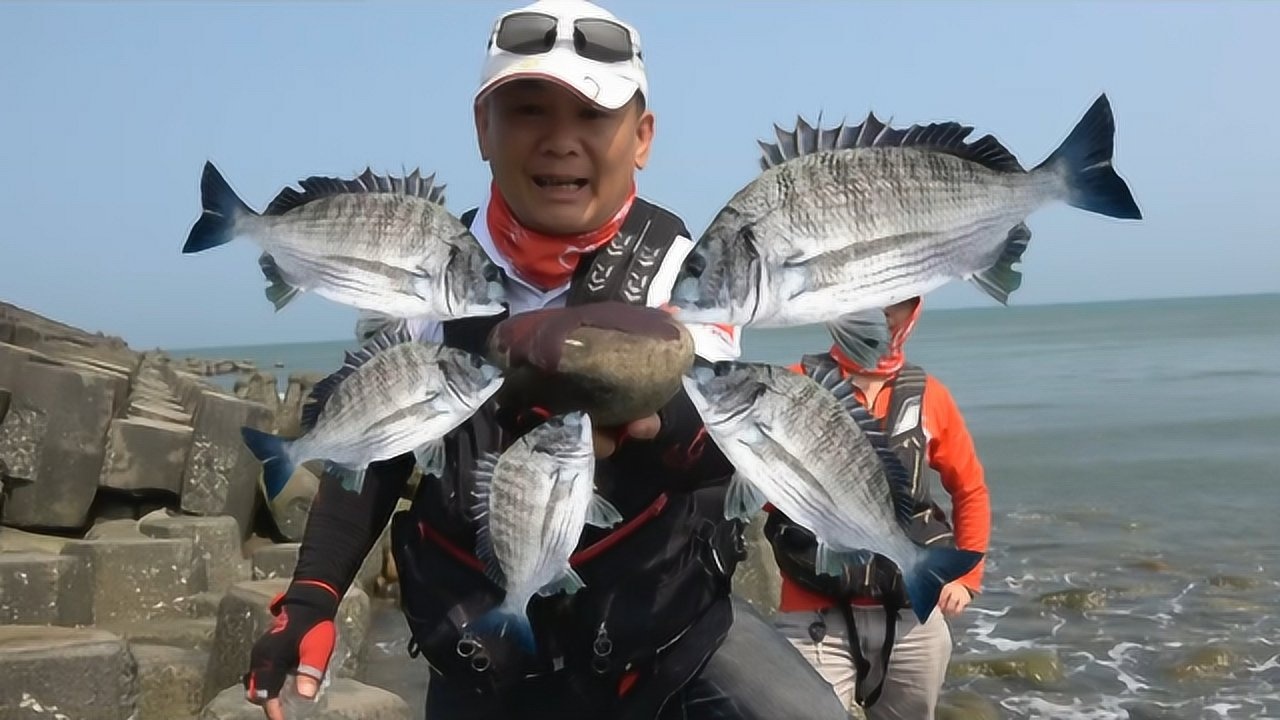 海邊磯釣大測試,老一輩的釣法,不打窩誘釣黑鯛魚!