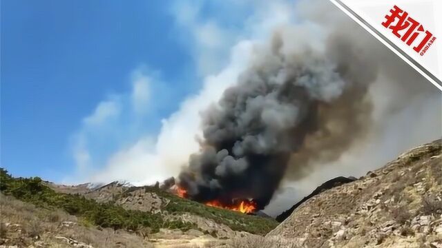 葫芦岛小红螺山发生山火 100余武警6小时扑灭火点800余处