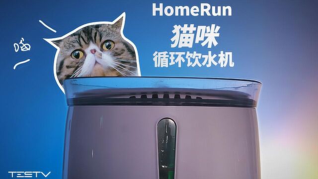 HomeRun猫咪饮水机