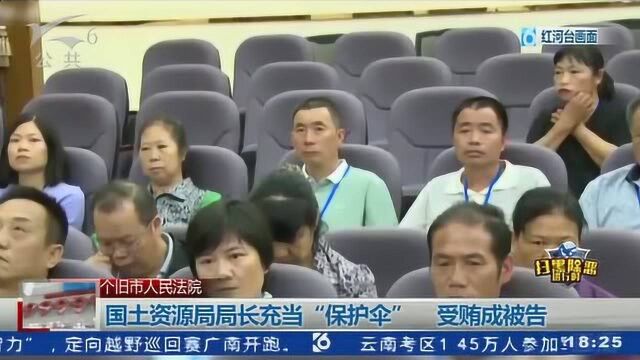 国土资源局局长充当“保护伞”受贿成被告