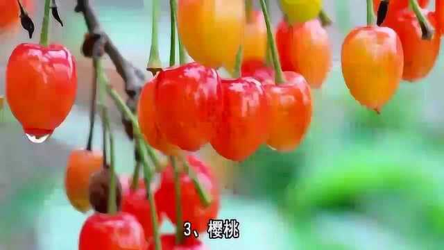 立夏过后,这5种水果要多吃,降火排毒,消暑安神