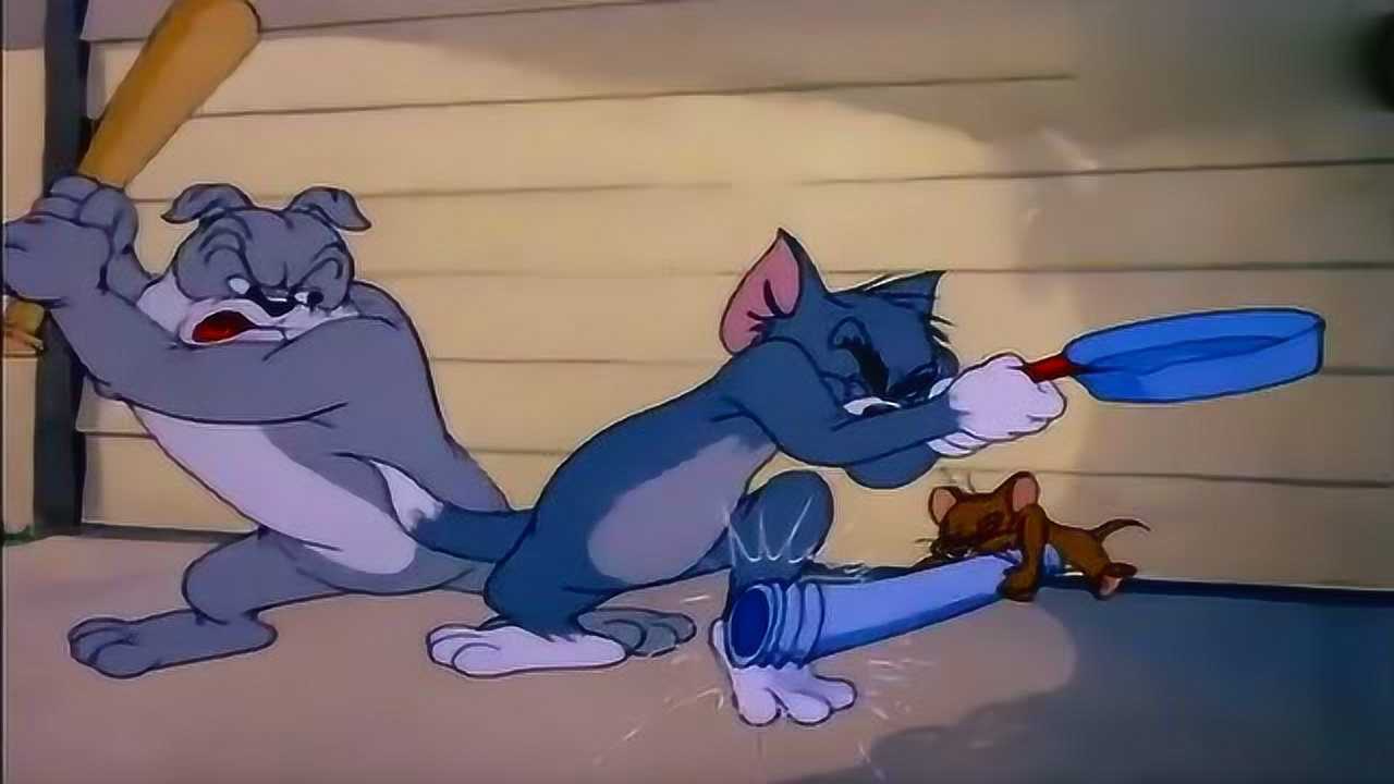 猫和老鼠狗做了一个决定要跟汤姆跟杰瑞签和平协议