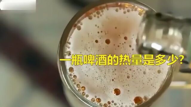 一瓶啤酒的热量是多少