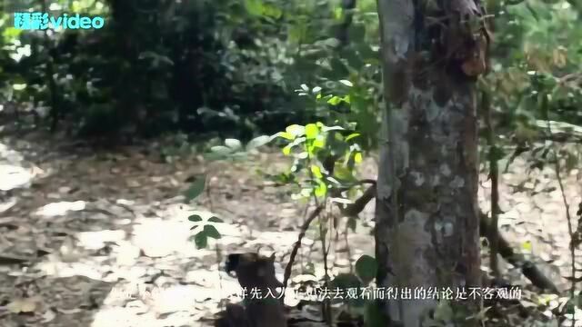 《爆头:全面突袭》是再续《突袭》动作神话,还是让我们失望了?