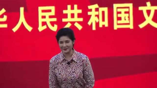 第十二届中国艺术节刘丹丽的《民族歌剧》选段和洪湖水浪打浪