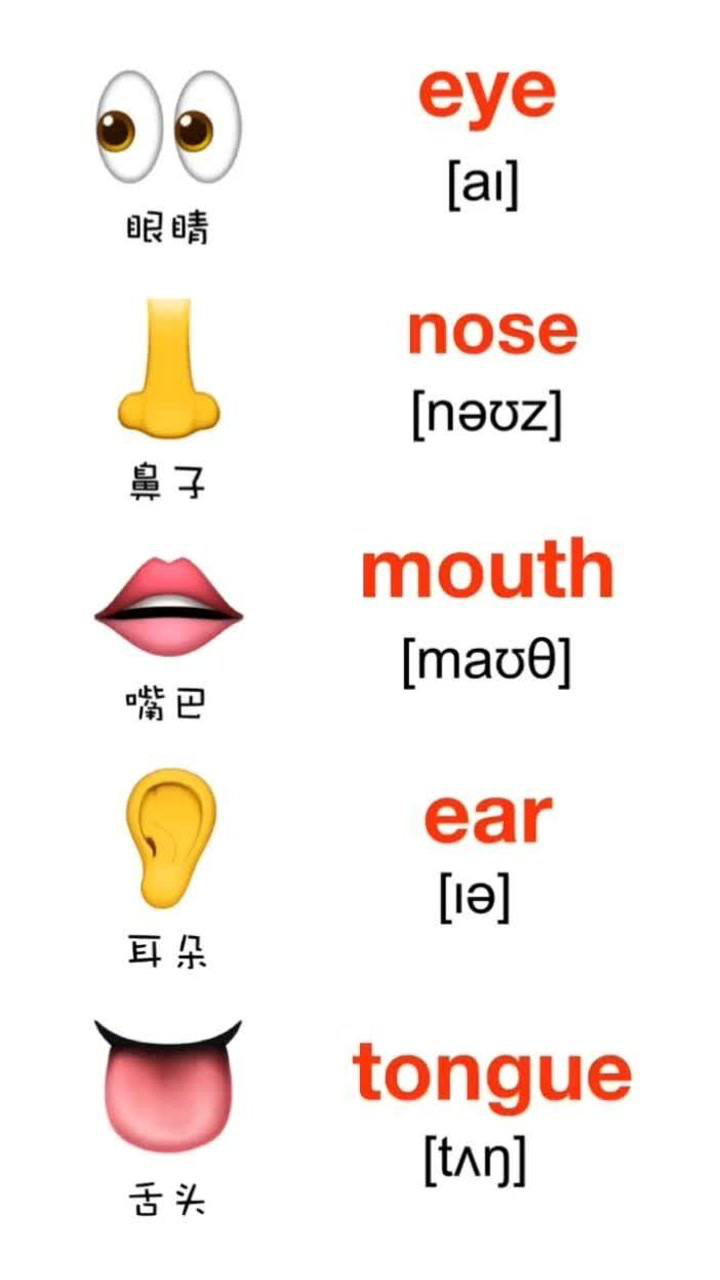 眼睛鼻子嘴巴的英语单词还记得吗_腾讯视频