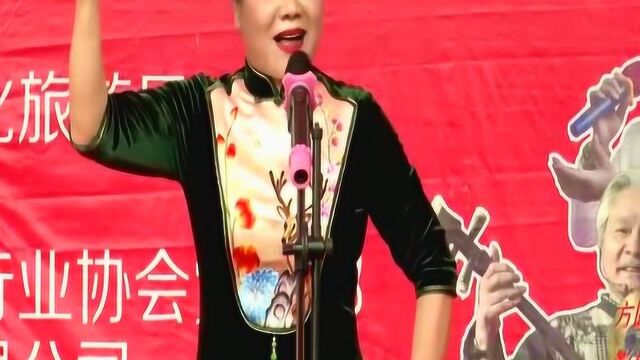 河南坠子《杨宗保点兵》马街书会书状元 牛清栏表演