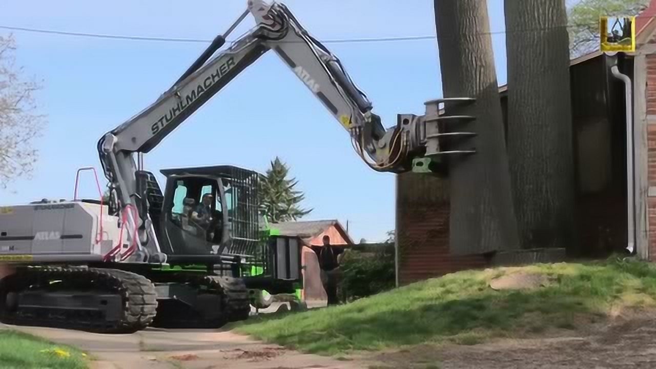 这车砍树,清爽的很!