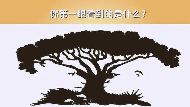 看这3张图,你第一眼看到的是什么?眼睛的视错觉会暴露你的性格