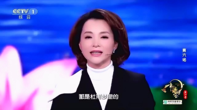 董卿谈“母亲”主题词,这段开场白太暖心了,让人满含热泪!