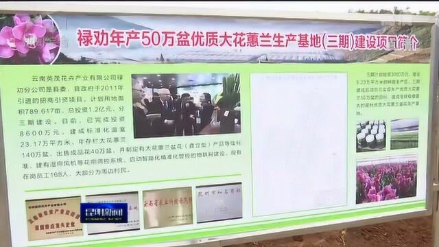 推动经济高质量发展 禄劝县二季度五个重点项目集中开工