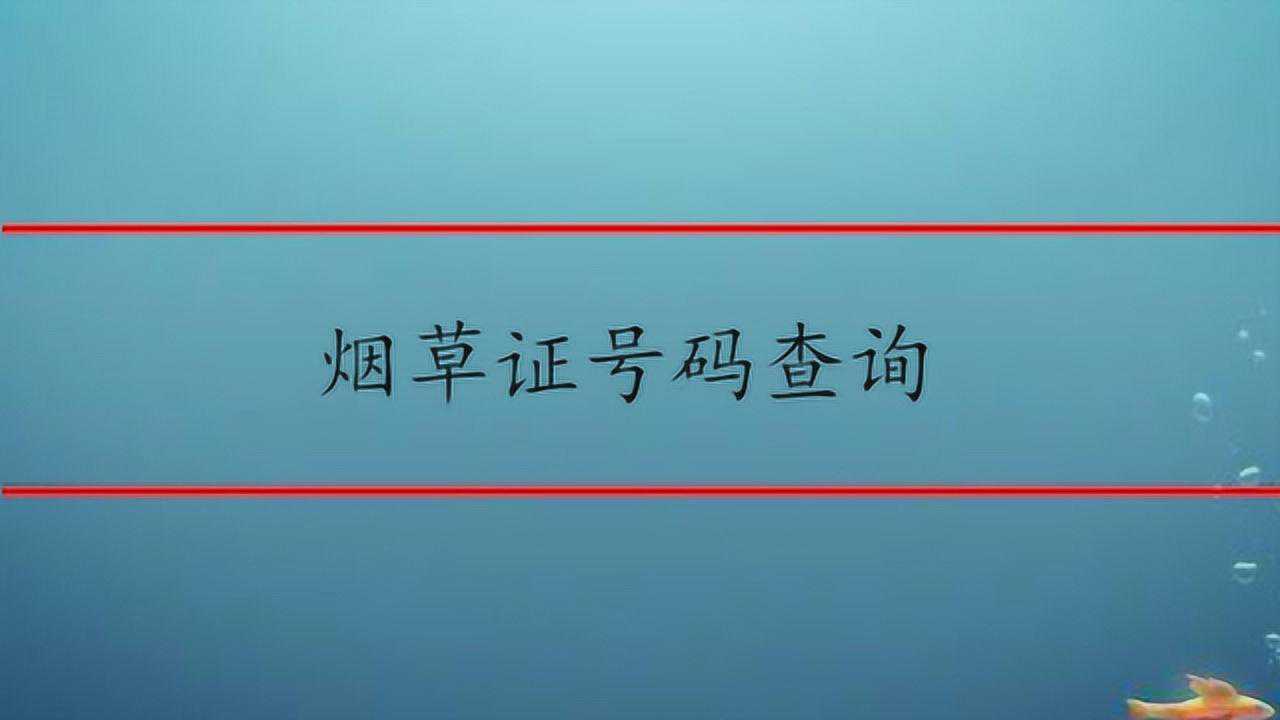 烟草证号码查询_腾讯视频