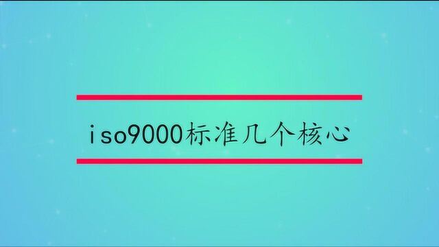 iso9000标准几个核心