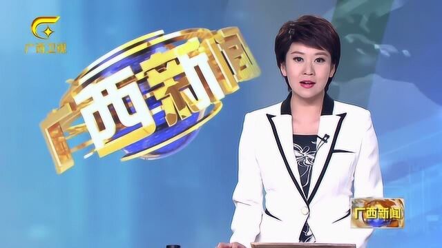 广西:紧抓重大项目建设 筑牢经济“压舱石”