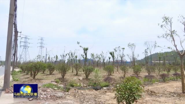 马鞍山雨山区深入推进八段沟水系整治工程取得明显成效