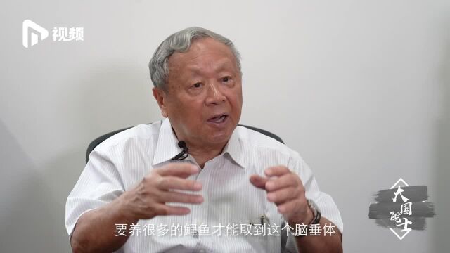 养鱼技术惠及全球!院士林浩然让名贵鱼上百姓餐桌,捐积蓄做科研