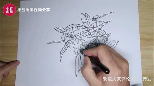 两分钟线描植物,一学就会