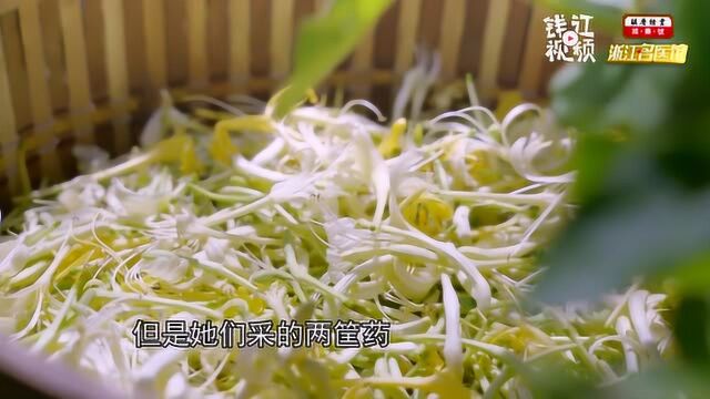 三伏天的中伏怎样来消暑? 这款花茶可消暑止炎