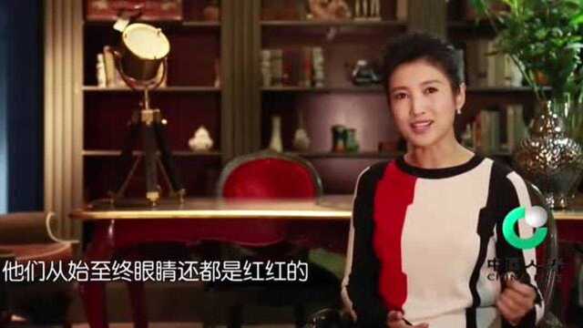 李晓萌称看到王雷的表演就会哭,塑造的孙少安太完美,内心感动!