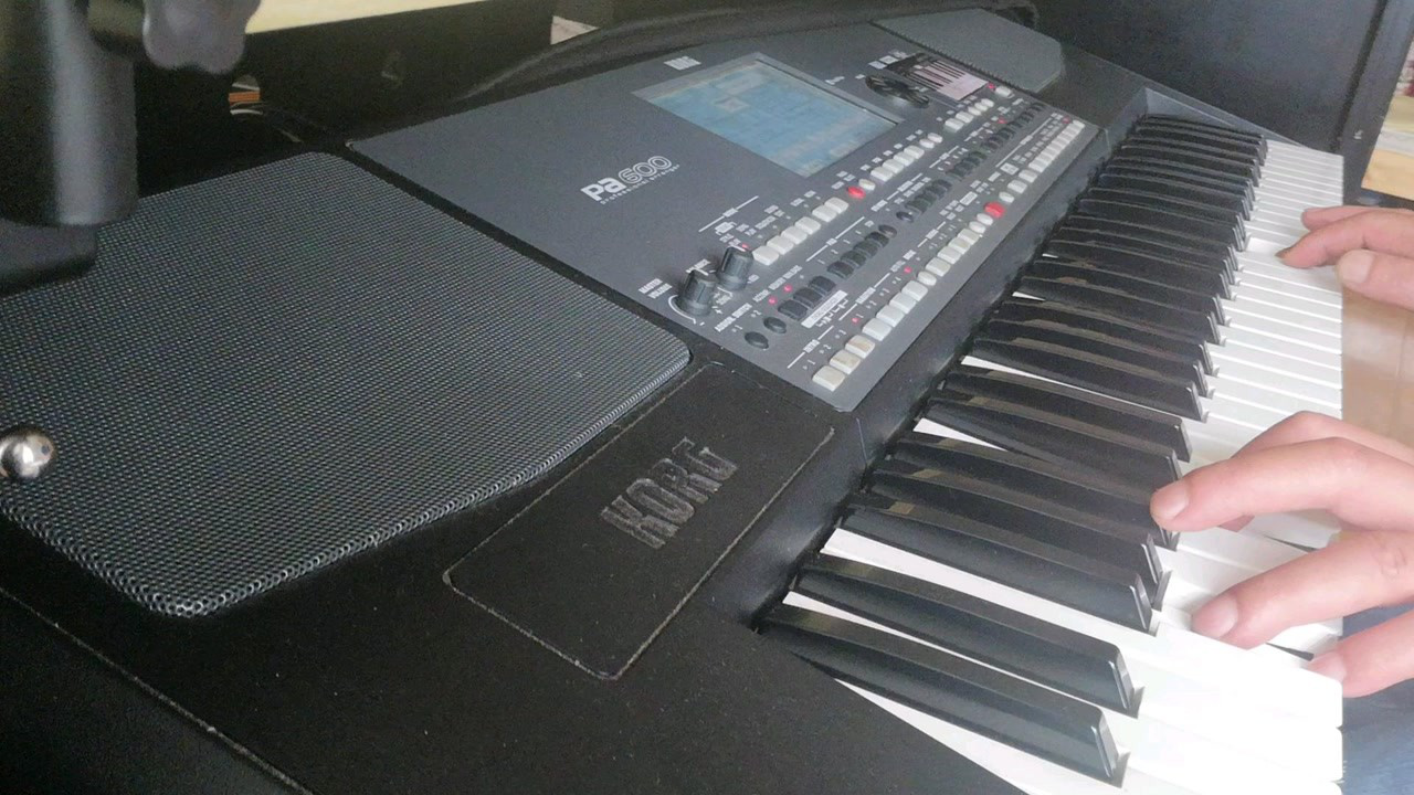 自学电子琴korgpa600弹奏同一首歌