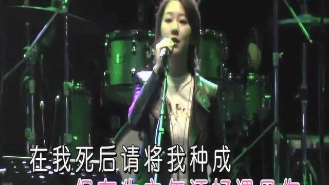 好歌推荐:谢春花演唱《一棵会开花的树》