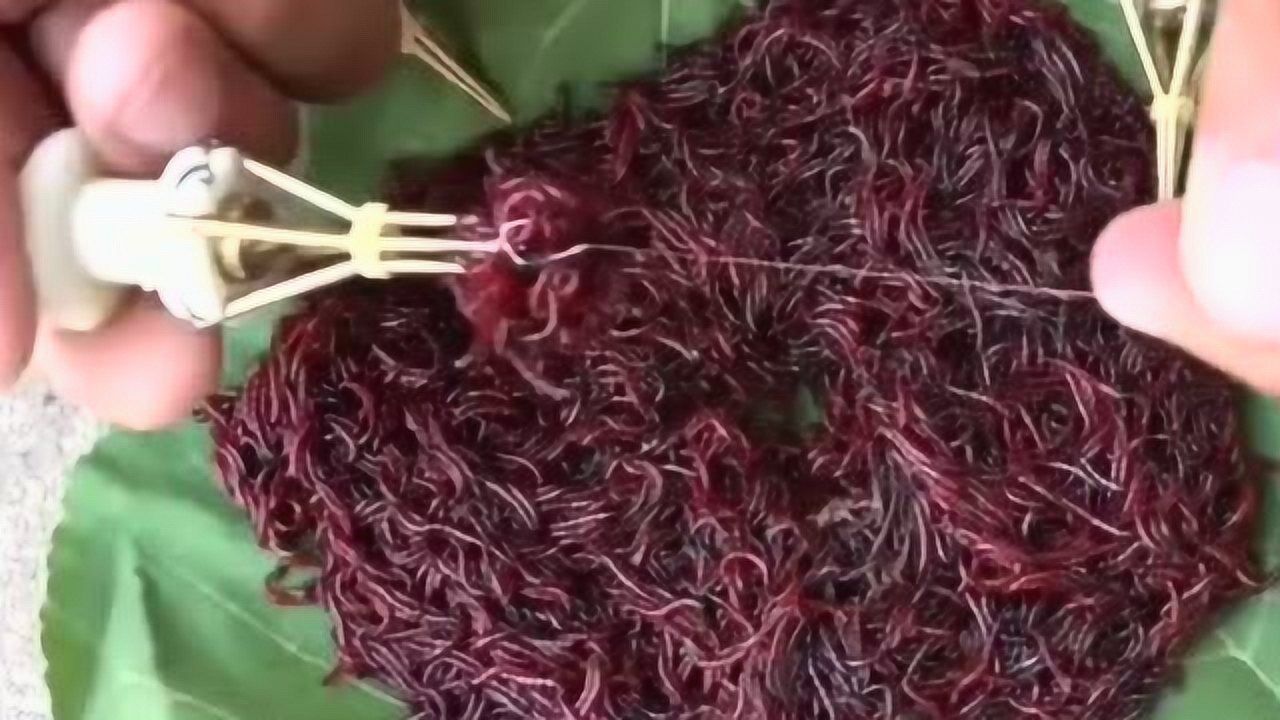 钓鱼爱好者都是这样挂红虫的,怪不得能钓那么多鱼,简单又实用!
