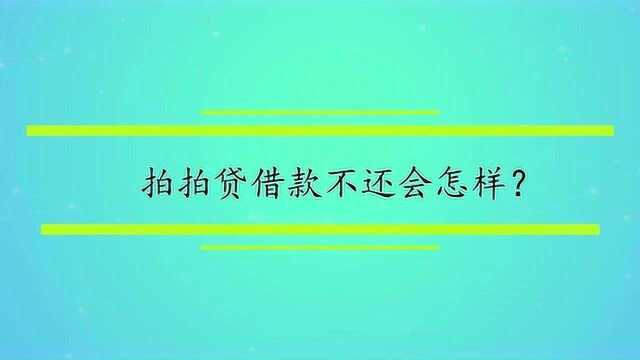 拍拍贷借款不还会怎样?