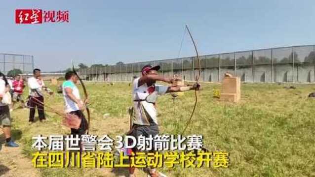 3D射箭:靶子是兔子、野猪模型 好似林间“打猎”