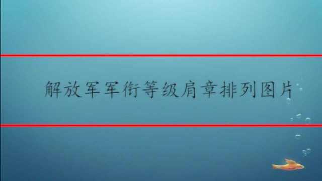 解放军军衔等级肩章排列图片