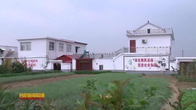 寿蜀园区:为寿县“南工北旅生态县”建设助力加油