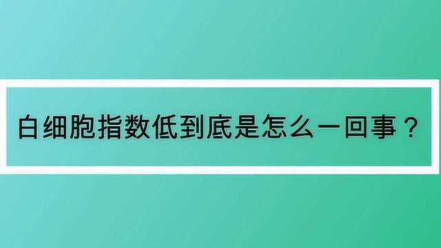 白细胞指数低到底是怎么一回事?