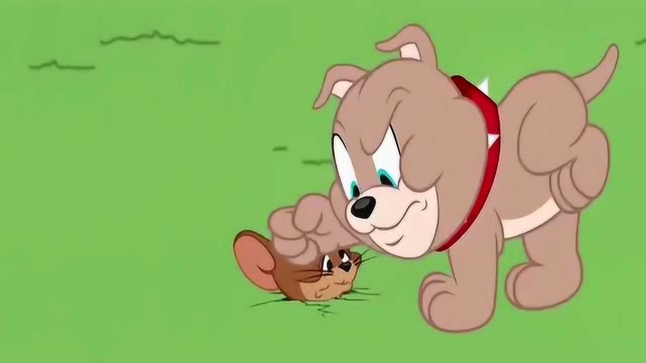 新猫和老鼠汤姆和杰瑞谁赢了都要被小狗揍拿着鱼罐头求助野猫