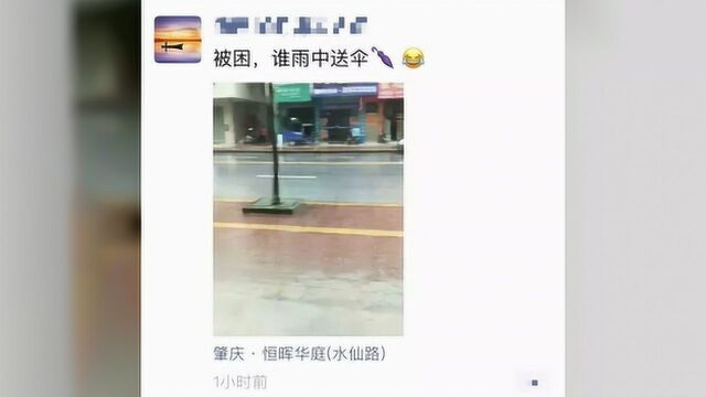 南海热带低压已登陆海南岛,四会未来天气将会……