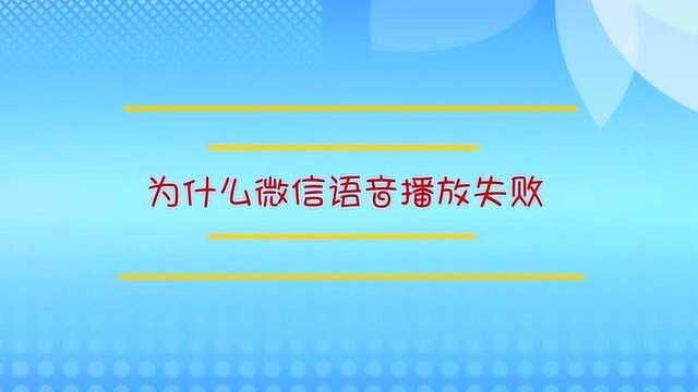 为什么微信语音播放失败?