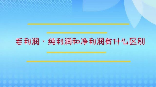 毛利润、纯利润和净利润有什么区别?