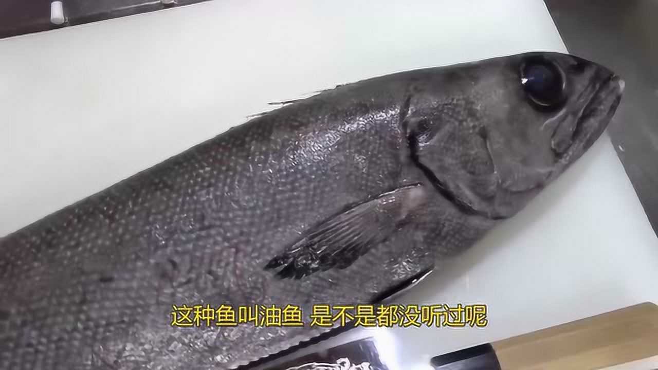 日本有种非常受欢迎的油鱼,吃过后会流油36小时,奇葩吧