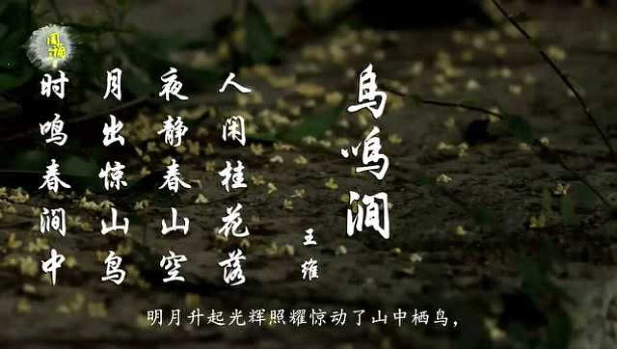 王维 鸟鸣涧 人闲桂花落 夜静春山空