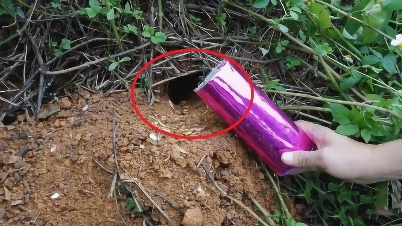 老外用鞭炮炸老鼠洞,扔下去的瞬间,老鼠瞬间炸锅!_腾讯视频