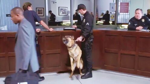 小偷假冒警察混入警局，谁都没有发现，只有警犬发现了异常