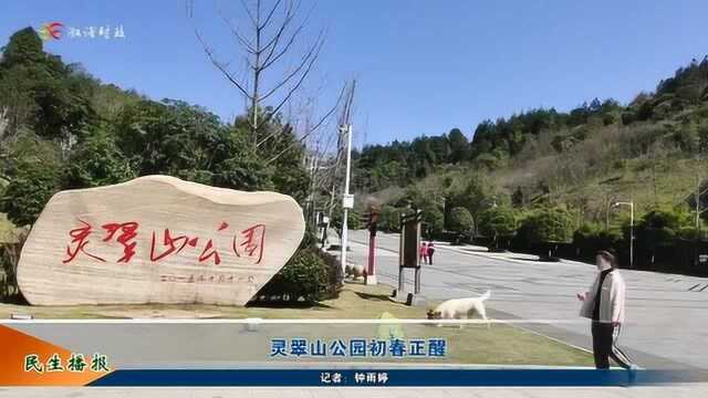 溆浦:灵翠山公园初春正醒